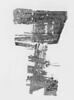 papyrus, image 3/4