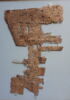 papyrus, image 2/4