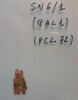 papyrus, image 3/3