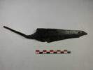 scie, image 2/2