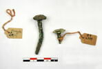 clou, image 1/3