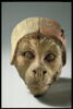Tête de singe avec un bonnet rouge et blanc, image 3/6
