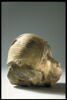 Tête de singe avec un bonnet rouge et blanc, image 4/6