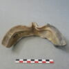 lèche-frite, fragment, image 1/3
