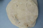 poêlon, fragment, image 2/3