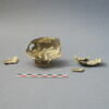 godet, image 1/2