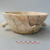 cuvier, image 1/4