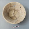 cuvier, image 2/4