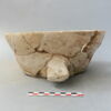cuvier, image 3/4