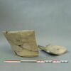 cuvier, image 3/10