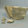 cuvier, image 8/10