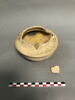 cucurbite aveugle, image 2/4