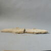tuile, image 2/6