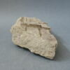 Fragment de pilastre décoré d'un putto et d'un écu, image 2/7