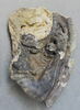 sculpture, fragment ; élément d'architecture, décor intérieur et extérieur, huisserie, image 1/4