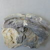 sculpture, fragment ; élément d'architecture, décor intérieur et extérieur, huisserie, image 3/4