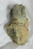 sculpture, fragment, image 7/9