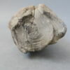 sculpture, fragment, image 4/9