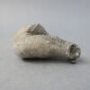 sculpture, fragment, image 7/8
