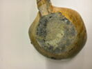 tasse, image 10/10
