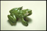 Grenouille de fontaine, image 8/11