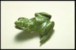 Grenouille de fontaine, image 8/9