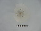 verre à pied, image 2/2