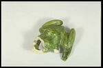 Grenouille de fontaine, image 6/8