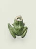 Grenouille de fontaine, image 3/8