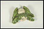Grenouille de fontaine, image 5/8