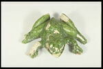 Grenouille de fontaine, image 4/7