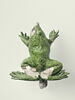 Grenouille de fontaine, image 1/8