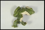 Grenouille de fontaine, image 5/8