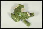 Grenouille de fontaine, image 6/8