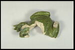 Grenouille de fontaine, image 7/8