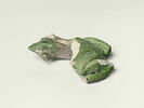 Grenouille de fontaine, image 3/8