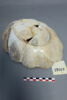 plat, image 4/5