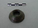 cupule, image 3/3