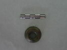 cupule, image 2/3