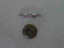 cupule, image 1/3