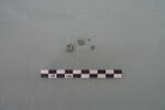 nodule, image 2/4