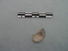 monnaie, fragment, image 1/3