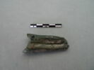 fourreau, fragment, image 3/3