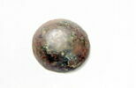 cupule, image 2/2