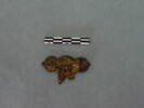 applique décorative, fragment, image 1/3