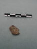 monnaie, fragment, image 3/3
