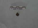 objet indéterminé, image 2/3