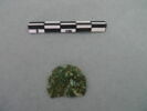 monnaie, fragment, image 1/3