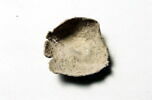bol, image 2/2