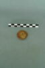 jeton, image 3/3